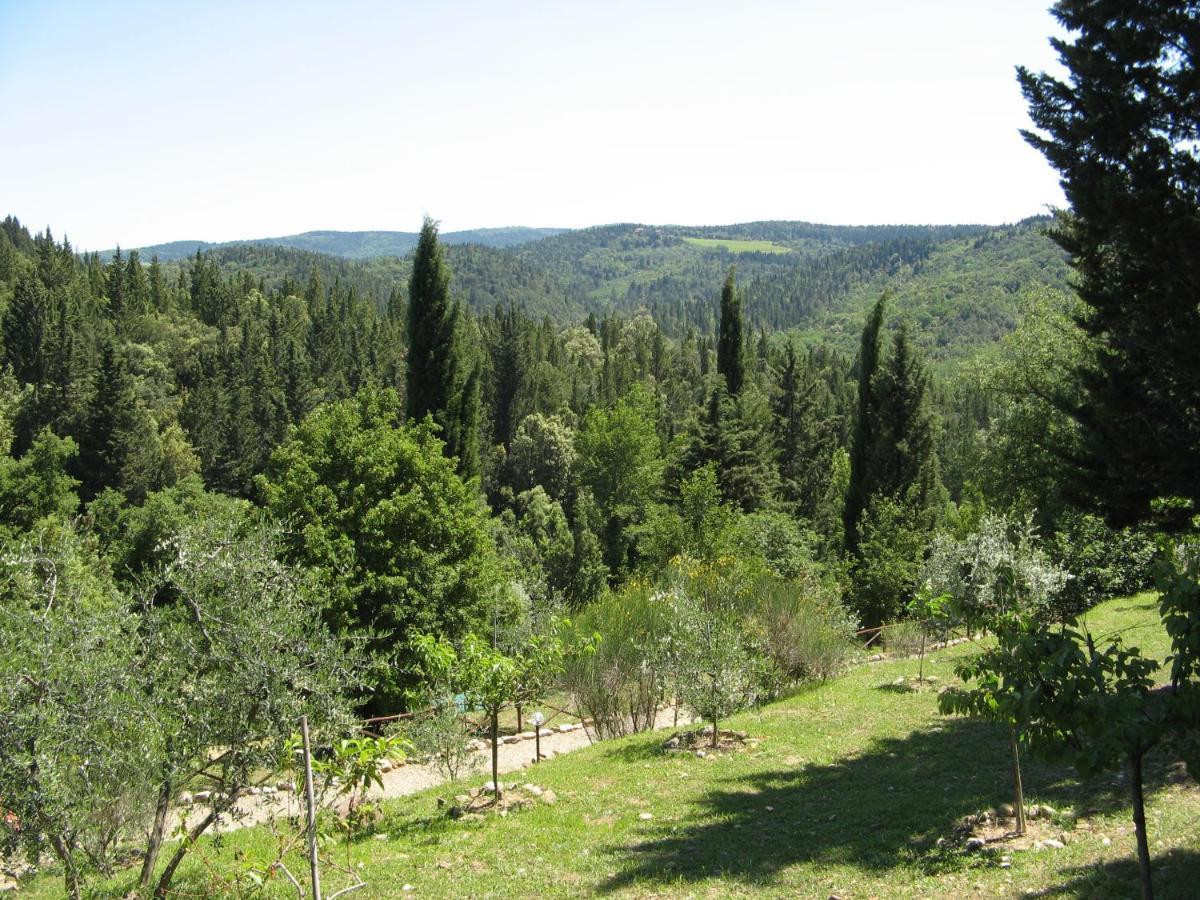 Tenuta La Cipresseta Monsanto Luaran gambar